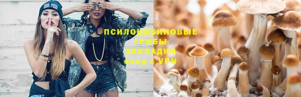 мяу мяу кристалл Заводоуковск