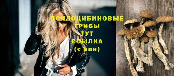 мяу мяу кристалл Заводоуковск