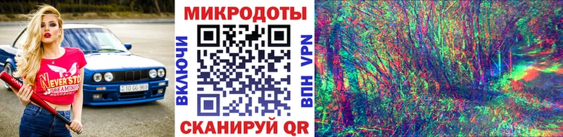 Галлюциногенные грибы Psilocybine cubensis  Купить  Канск 
