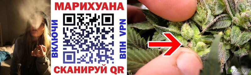 Шишки марихуана планчик  Купить закладки  Канск 